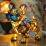 Prantsuse buldog - Lamp vitraažides